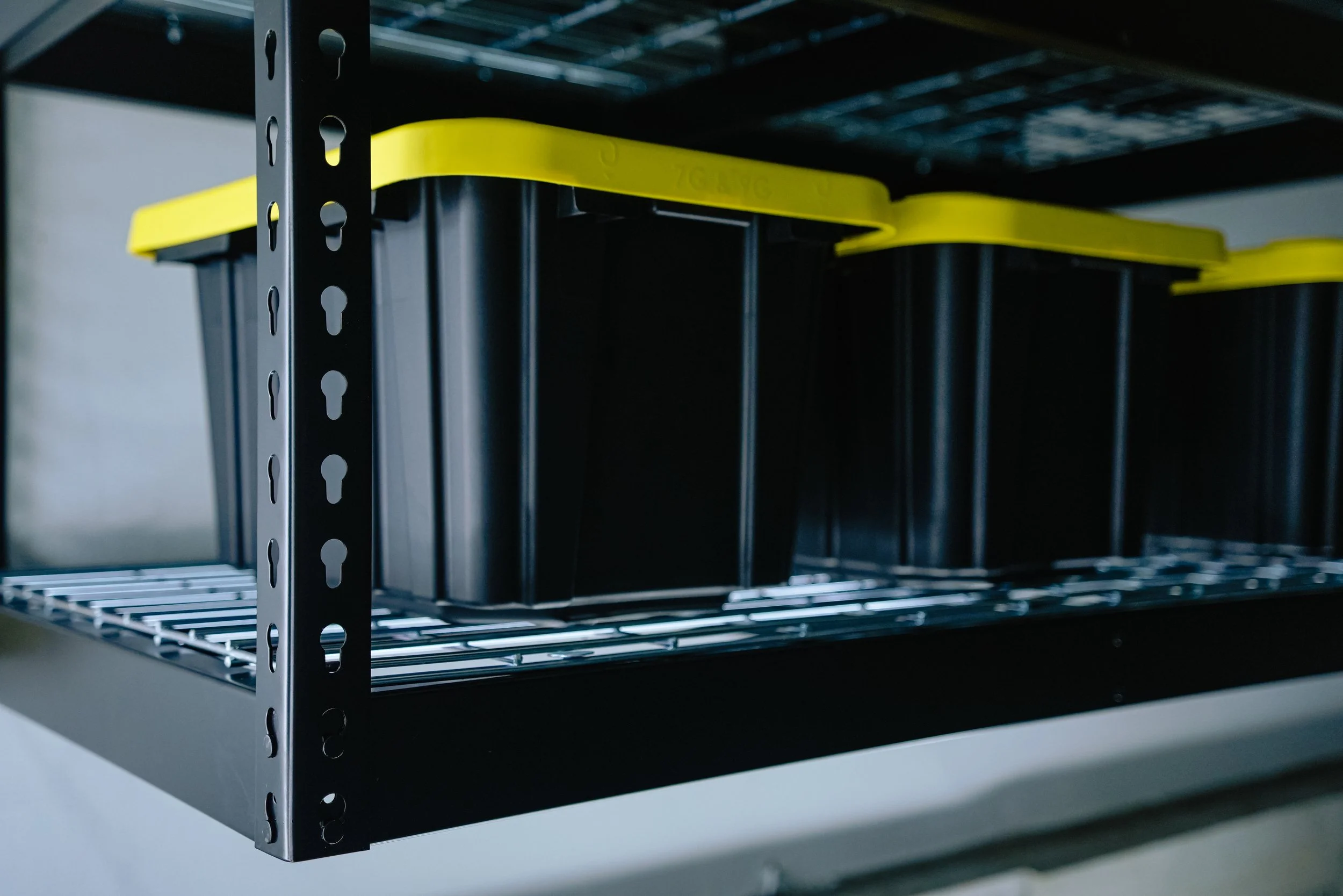 Gallery — GorillaRaxx